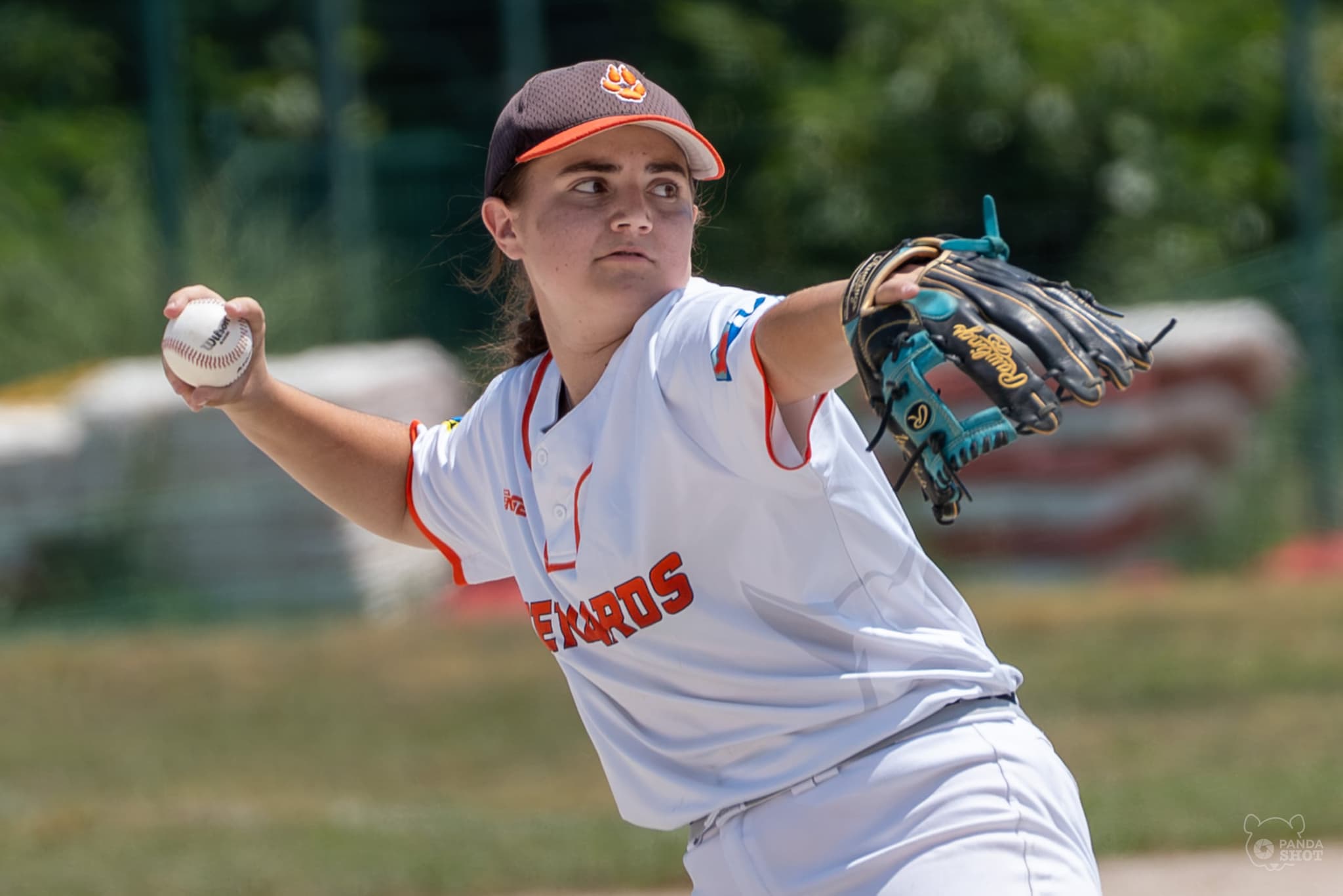 Baseball — PandaShot