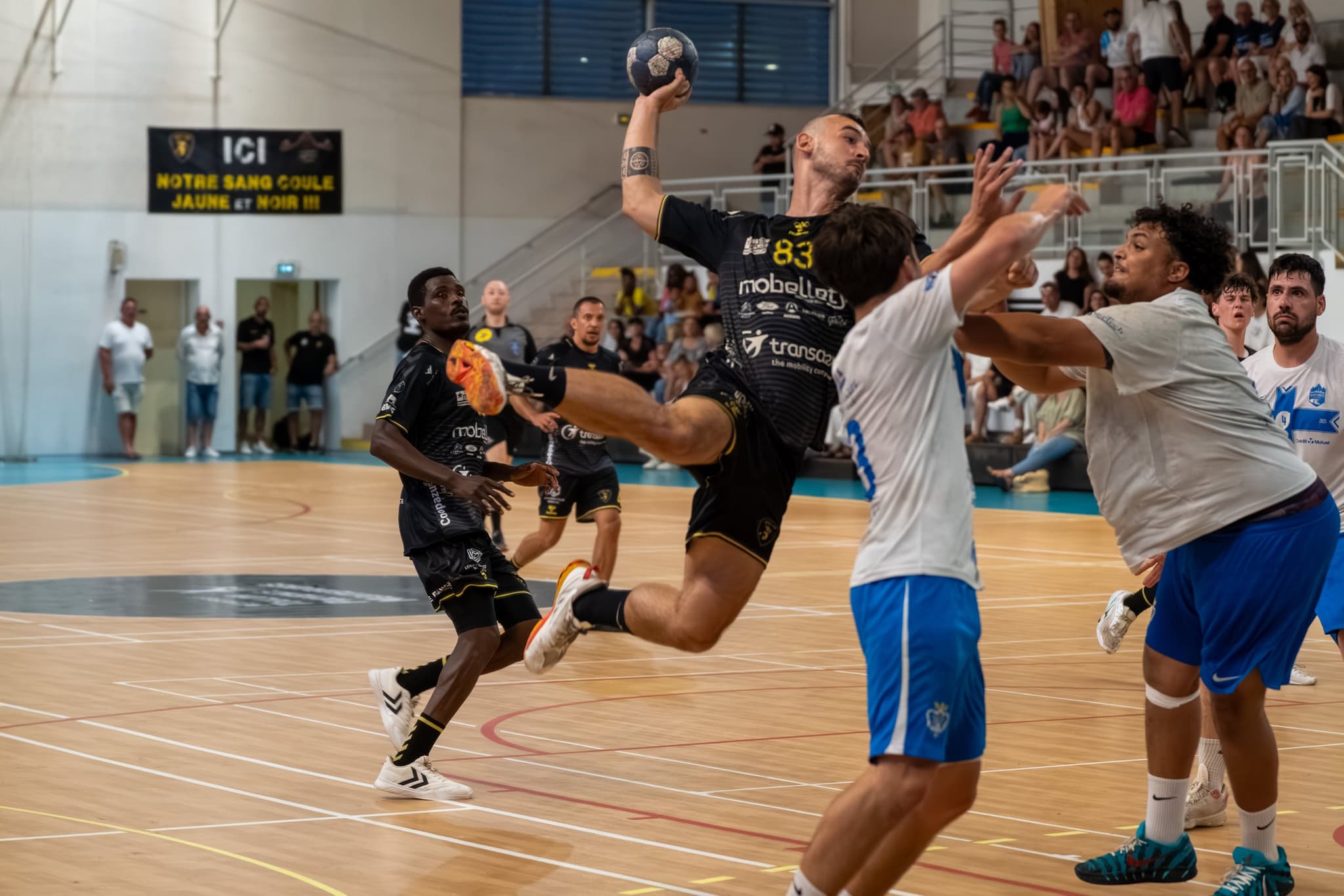 Handball — PandaShot