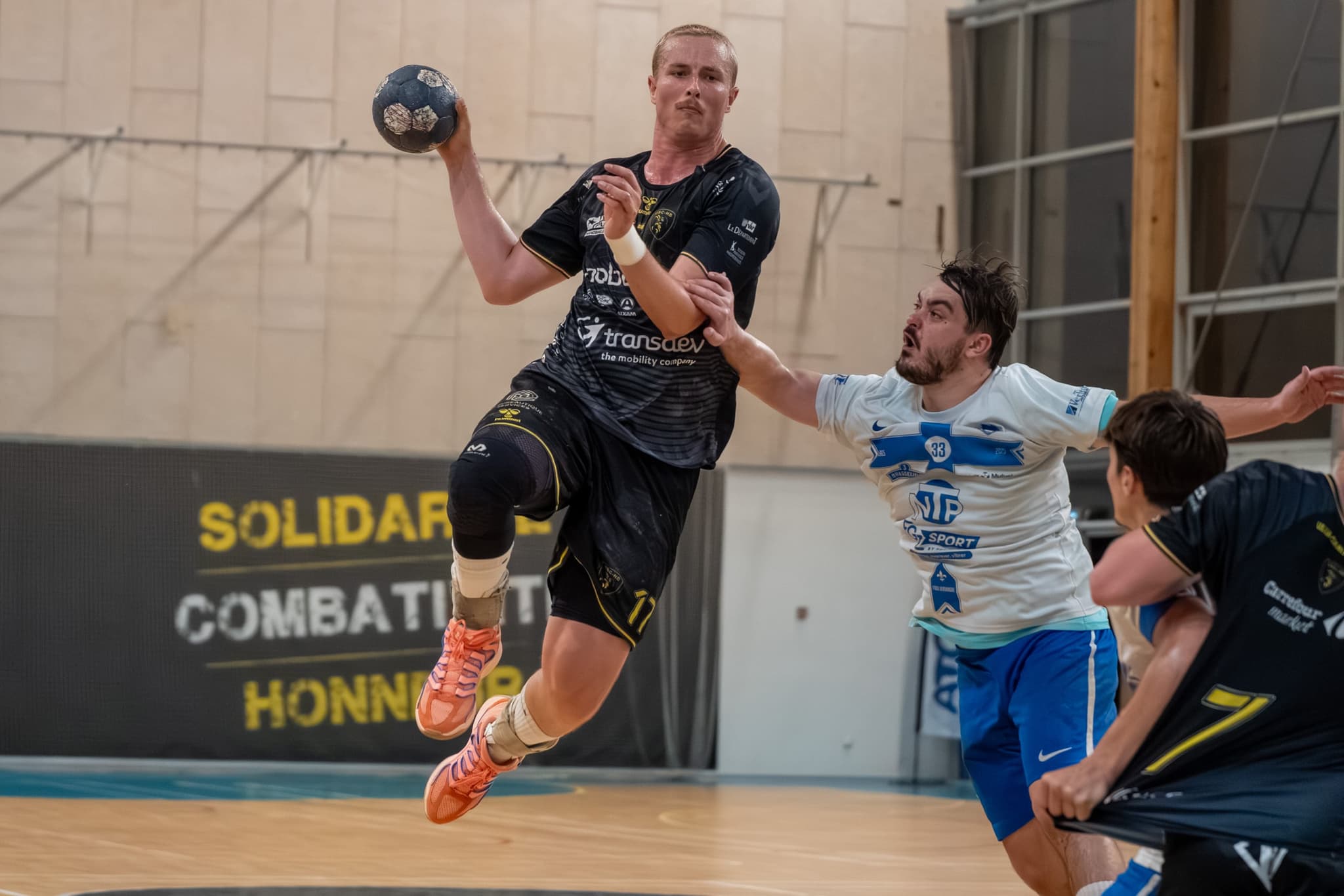 Handball — PandaShot